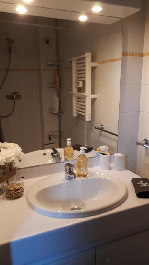 Duplex 6 Pers, Avec 8 Couchages, Garage, Wifi, Calme, Proche Des Pistes, Top Equipe Et Linges Fournis, Vue Magnifique Сен-Жерве-Ле-Бэн Экстерьер фото